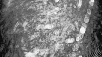 Weather camera view of Callawassie Island Club.