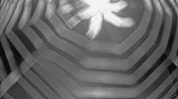 Weather camera view of Callawassie Island Club.