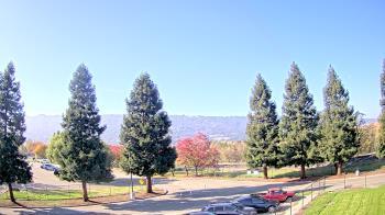 Weather camera view of Pleasanton MS.