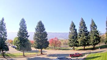 Weather camera view of Pleasanton MS.