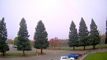 Weather camera view of Pleasanton MS.