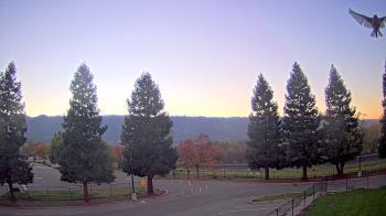 Weather camera view of Pleasanton MS.