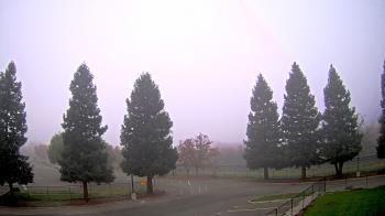 Weather camera view of Pleasanton MS.