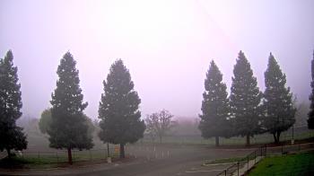 Weather camera view of Pleasanton MS.