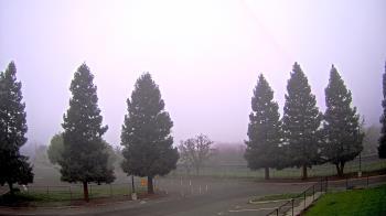 Weather camera view of Pleasanton MS.