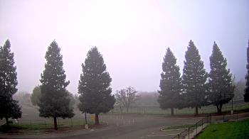 Weather camera view of Pleasanton MS.