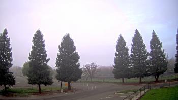 Weather camera view of Pleasanton MS.