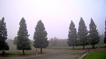 Weather camera view of Pleasanton MS.