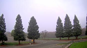 Weather camera view of Pleasanton MS.