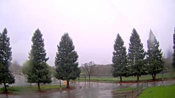 Weather camera view of Pleasanton MS.