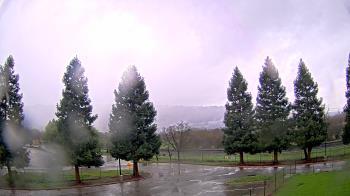 Weather camera view of Pleasanton MS.