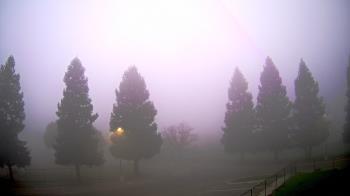 Weather camera view of Pleasanton MS.