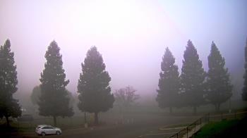 Weather camera view of Pleasanton MS.