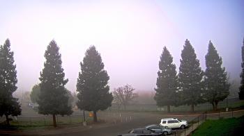 Weather camera view of Pleasanton MS.