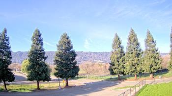 Weather camera view of Pleasanton MS.