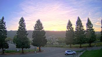 Weather camera view of Pleasanton MS.