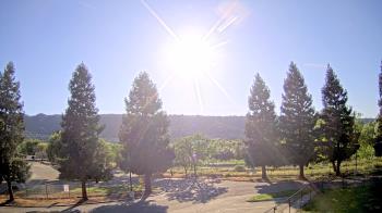 Weather camera view of Pleasanton MS.