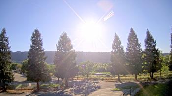 Weather camera view of Pleasanton MS.