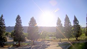 Weather camera view of Pleasanton MS.