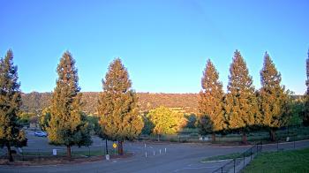 Weather camera view of Pleasanton MS.