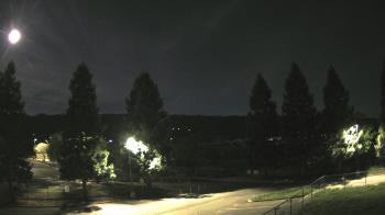 Weather camera view of Pleasanton MS.