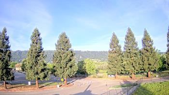 Weather camera view of Pleasanton MS.