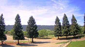 Weather camera view of Pleasanton MS.