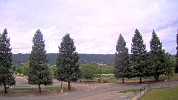 Weather camera view of Pleasanton MS.