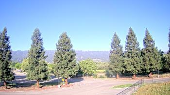 Weather camera view of Pleasanton MS.