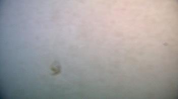 Weather camera view of Punta Gorda Airport AEM EN unit.