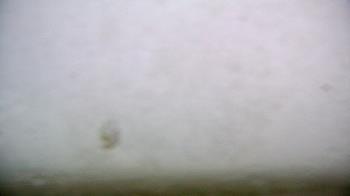 Weather camera view of Punta Gorda Airport AEM EN unit.