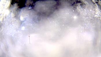 Weather camera view of Indian River High School.