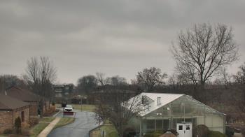Weather camera view of Elim Christian Services.