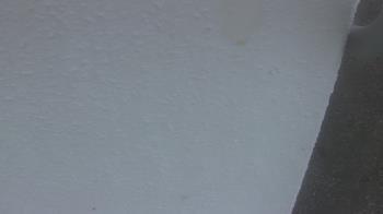 Weather camera view of Liberty ES.