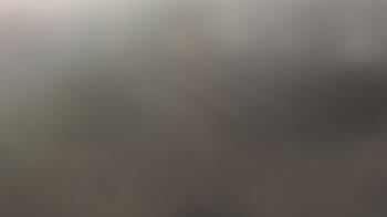 Weather camera view of Hilldale Elementary School.