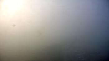 Weather camera view of City of Pensacola City Hall.