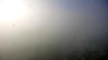 Weather camera view of City of Pensacola City Hall.