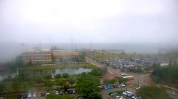 Weather camera view of City of Pensacola City Hall.