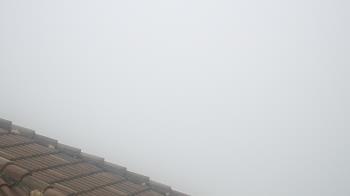 Weather camera view of Portofino Island Resort and Spa.