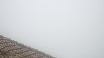 Weather camera view of Portofino Island Resort and Spa.