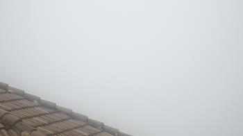 Weather camera view of Portofino Island Resort and Spa.