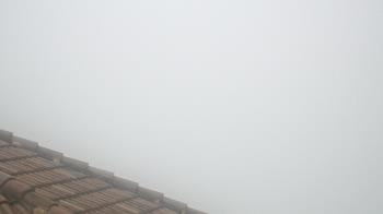 Weather camera view of Portofino Island Resort and Spa.