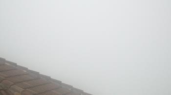 Weather camera view of Portofino Island Resort and Spa.