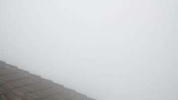 Weather camera view of Portofino Island Resort and Spa.