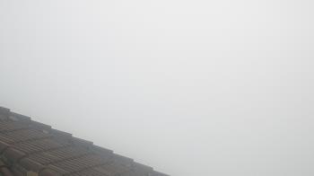 Weather camera view of Portofino Island Resort and Spa.