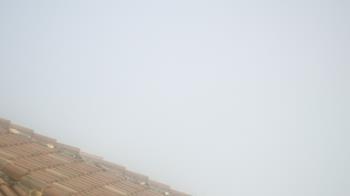 Weather camera view of Portofino Island Resort and Spa.