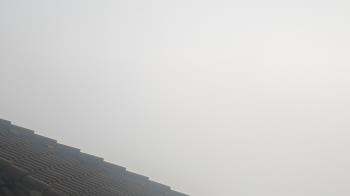 Weather camera view of Portofino Island Resort and Spa.