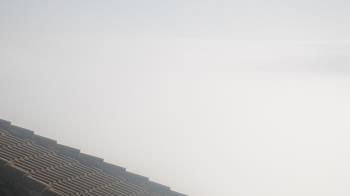 Weather camera view of Portofino Island Resort and Spa.