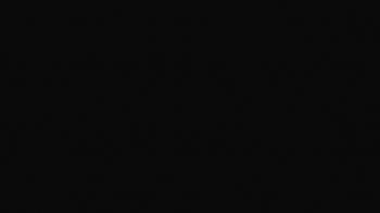 Weather camera view of Portofino Island Resort and Spa.