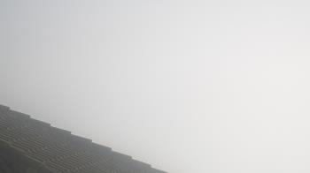 Weather camera view of Portofino Island Resort and Spa.